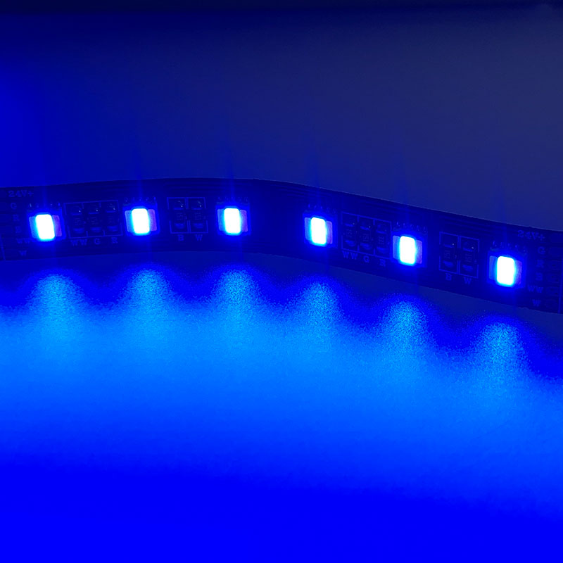 72LEDs/m RGBWW LED Light Strip DC24V 12mm Color Changing Tape 16.4ft